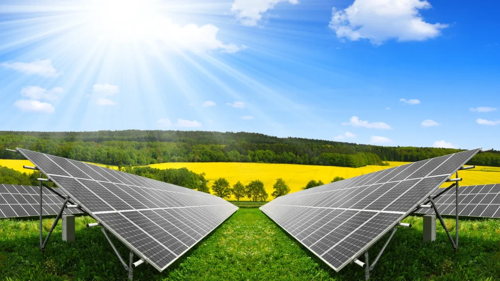 A scenic view of solar panels in a field with vibrant greenery, under bright sunlight, showcasing renewable energy generation.